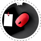 Mouse