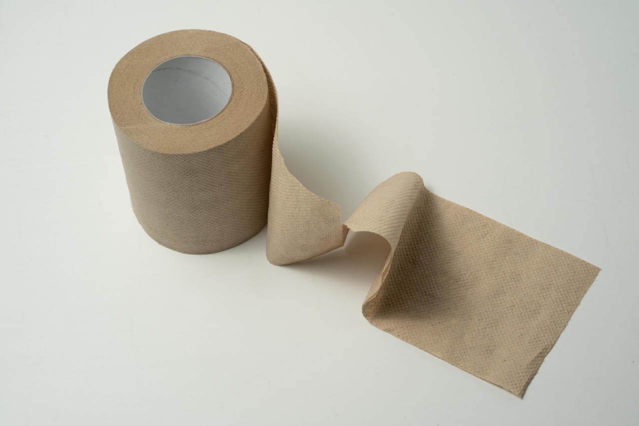 Waste Recycled Products – RECYCLED TOILET PAPER ROLL (PACK OF 10)